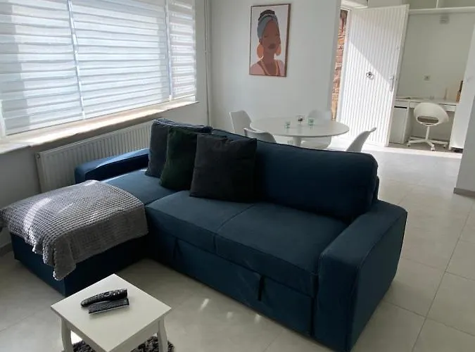 1-e Bel Spacieux Climatise Parking Prive Gratuit Sur Demande Appartement