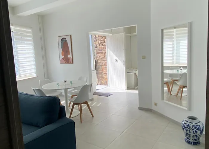 1-e Bel Spacieux Climatise Parking Prive Gratuit Sur Demande * Charleroi